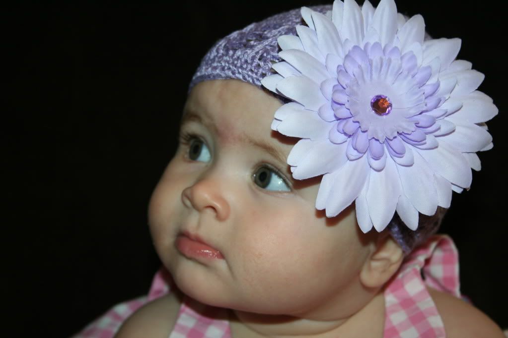 baby lavender