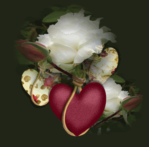 heart Pictures, Images and Photos
