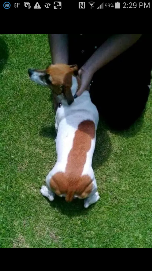 Screenshot_2014-12-03-14-29-04_zpsfqm4mg