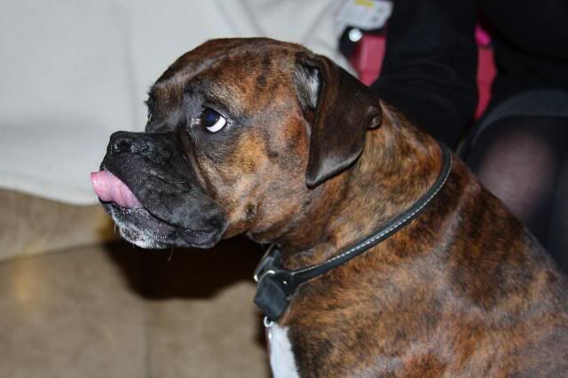 IMAGE: http://i558.photobucket.com/albums/ss23/DLOPhotography/Home/_MG_4848_zps64a0dc26.jpg