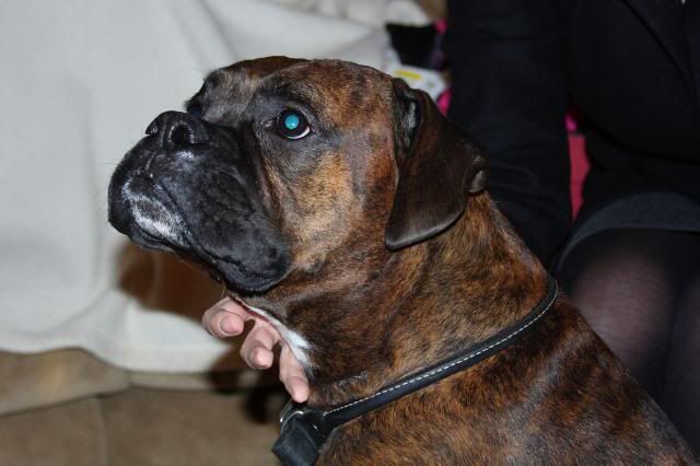 IMAGE: http://i558.photobucket.com/albums/ss23/DLOPhotography/Home/_MG_4849_zps0d94c975.jpg