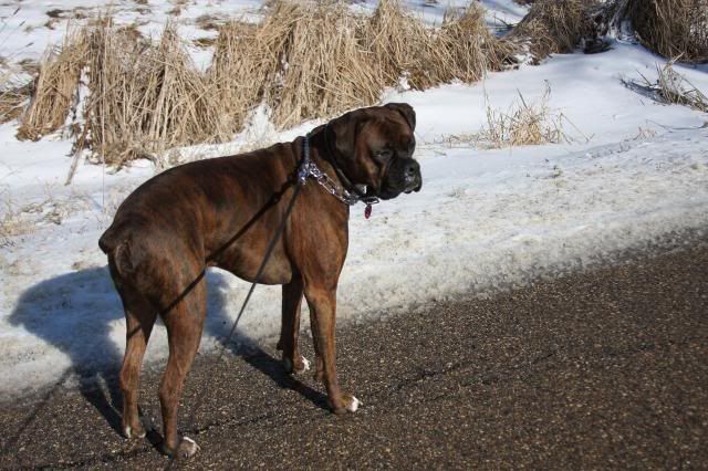 IMAGE: http://i558.photobucket.com/albums/ss23/DLOPhotography/Home/_MG_4874_zpsf1d626e0.jpg