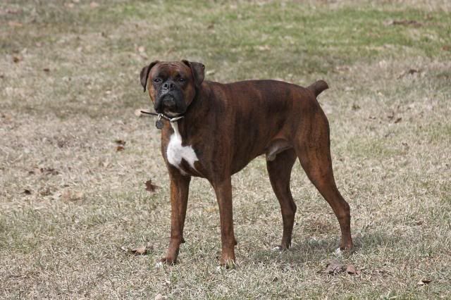 IMAGE: http://i558.photobucket.com/albums/ss23/DLOPhotography/Home/_MG_5228_zps38f5debd.jpg