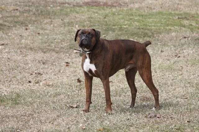 IMAGE: http://i558.photobucket.com/albums/ss23/DLOPhotography/Home/_MG_5229_zps15ef8660.jpg