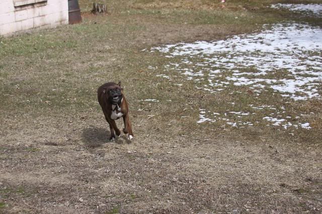 IMAGE: http://i558.photobucket.com/albums/ss23/DLOPhotography/Home/_MG_5242_zps6e885862.jpg