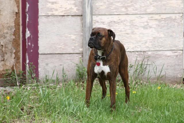 IMAGE: http://i558.photobucket.com/albums/ss23/DLOPhotography/Home/_MG_5632_zps0fbc3691.jpg