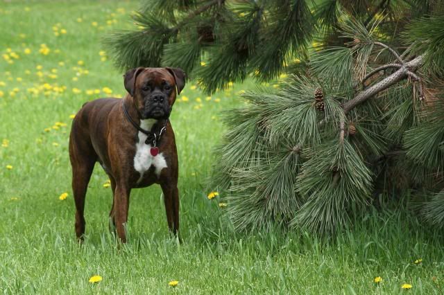 IMAGE: http://i558.photobucket.com/albums/ss23/DLOPhotography/Home/_MG_5638_zps23591700.jpg