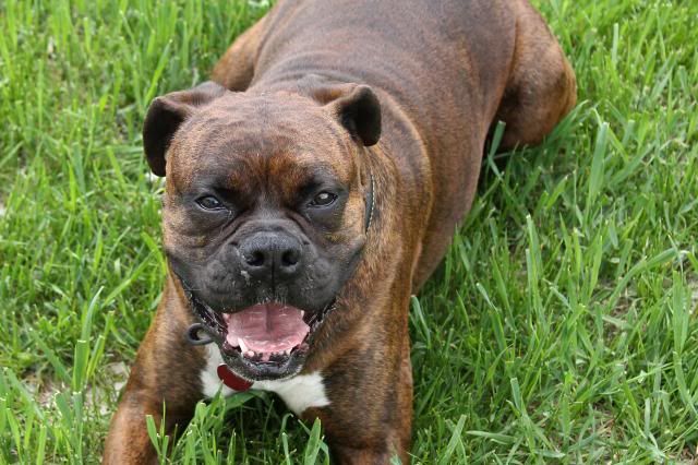 IMAGE: http://i558.photobucket.com/albums/ss23/DLOPhotography/Home/_MG_5641_zps39f06f04.jpg