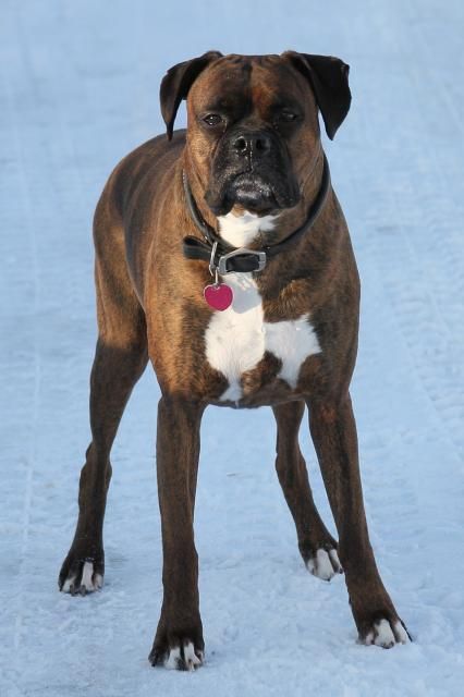 IMAGE: http://i558.photobucket.com/albums/ss23/DLOPhotography/Home/_MG_6927m_zps5f94ff52.jpg