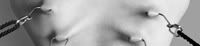 LOVE Parte 02