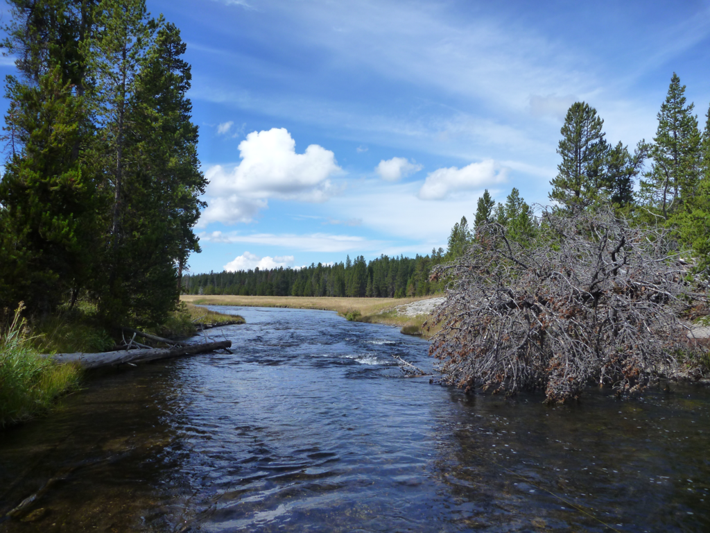 best small stream fly rod combo