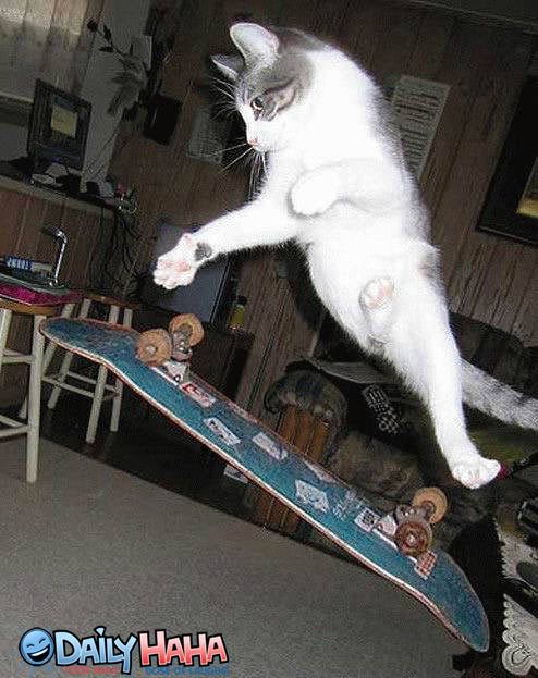 Sk8 Tricks