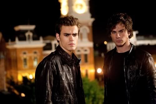 vampire diaries damon and stefan. Which one Stefan or Damon is
