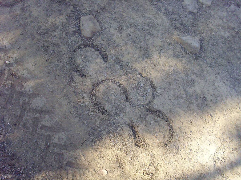 Horseshoe Tracks Photo by mrshenry111308 Photobucket