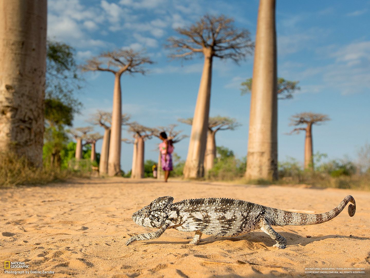  photo Madagasker - National Geographic.jpg