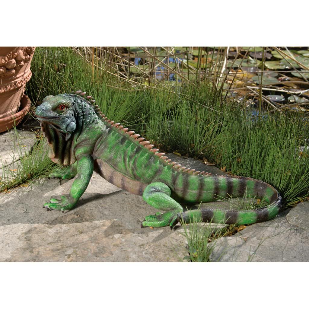 iguana garden statue exotic lizard reptile animal