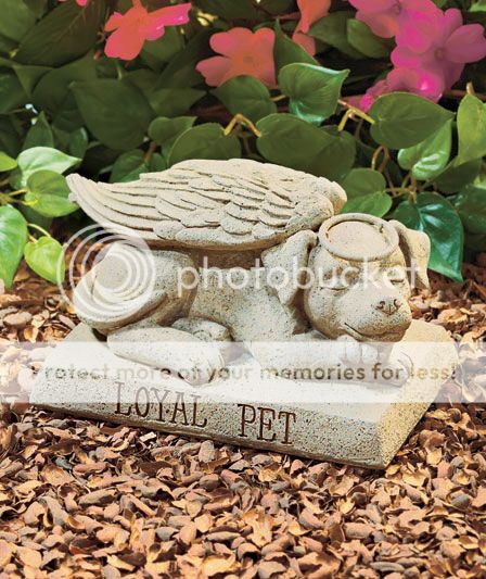 Angel Dog w Wing Pet Memorial Statue Grave Marker Head Stone Garden Outdoor Yard