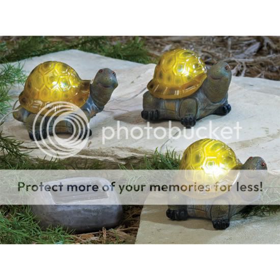 3 Solar Snail Turtle Tree Garden Light Outdoor Yard Lawn Decor Spring Statue New